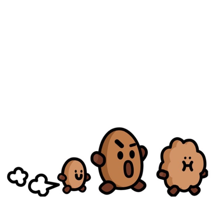 shooky