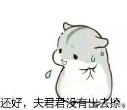 松鼠跳舞表情包