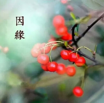 清净心