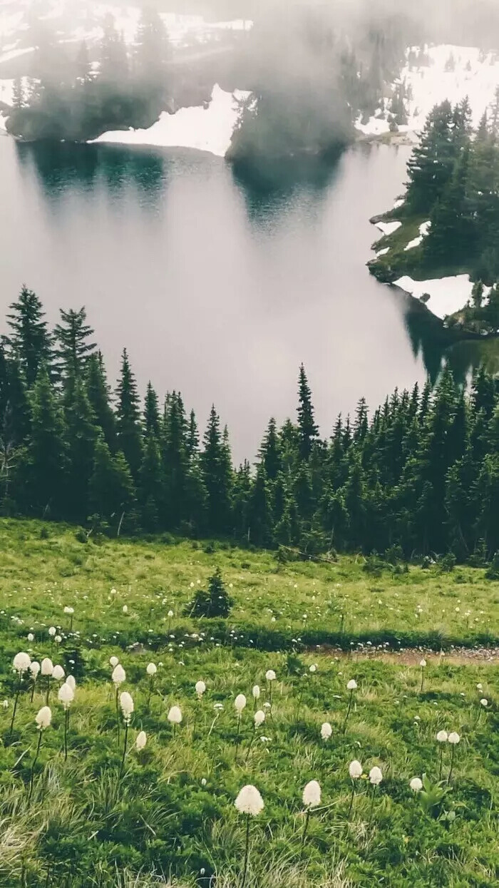 图片来自:微信号 壁纸呀