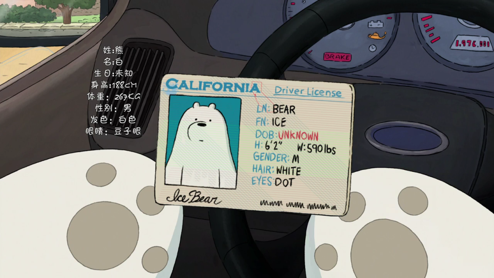 ice bear id