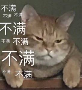 今天的原图表情精选~今晚月亮了啊?表情拍包桌图片