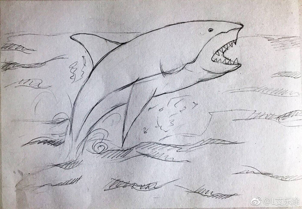 素描大白鲨图片图片