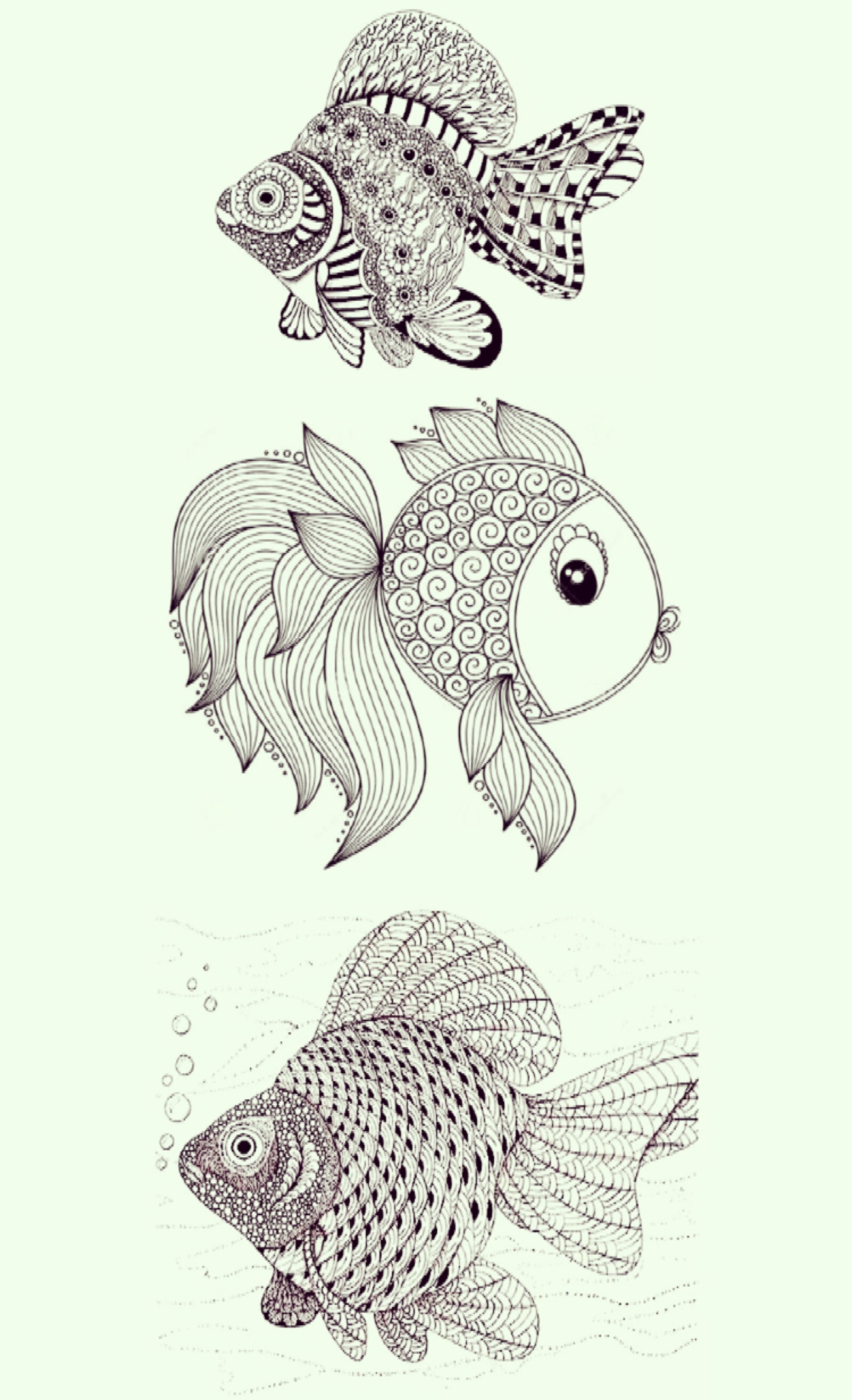 鱼的纹样简单图片
