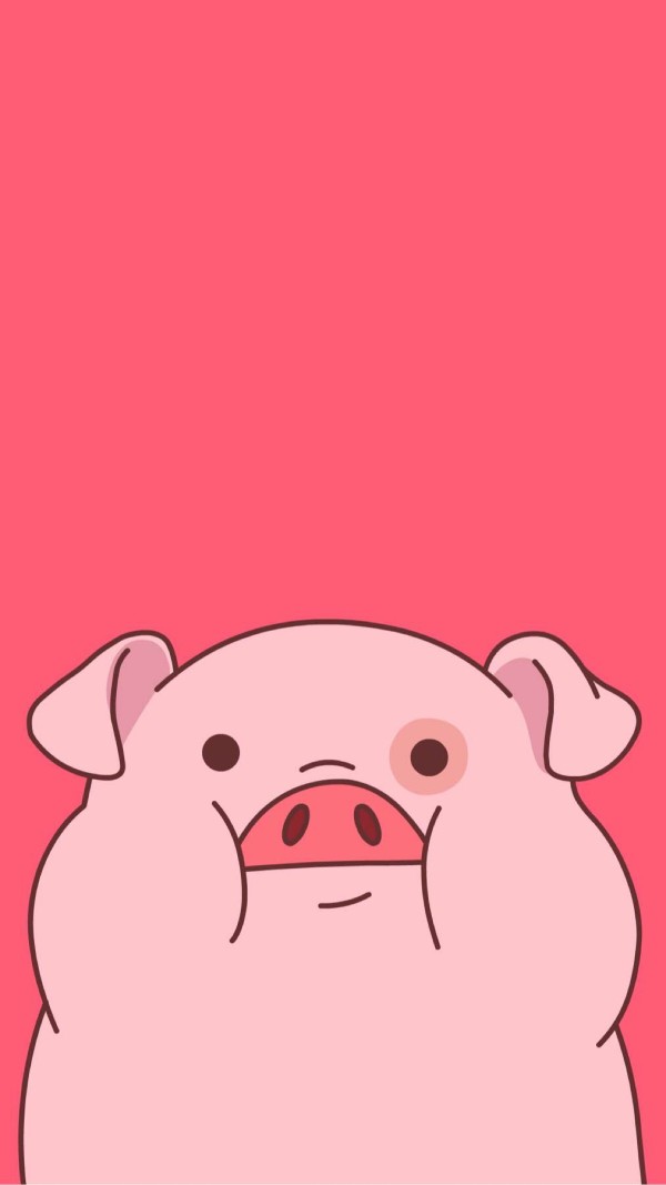 手机壁纸猪猪可爱图片