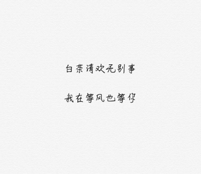 他在等风也在等你,文字