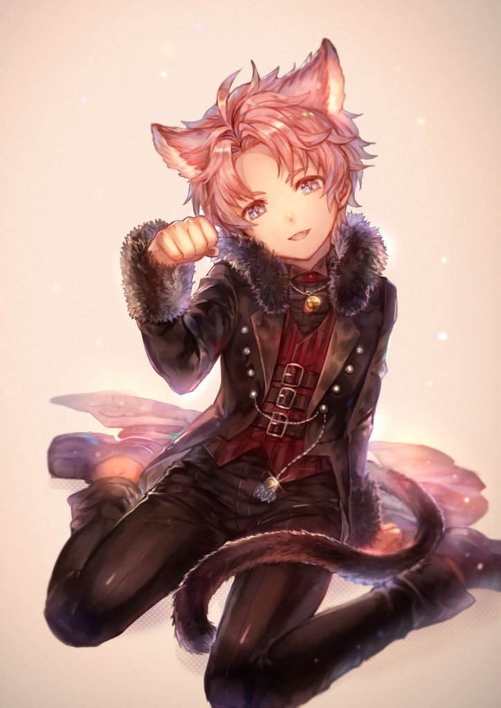 猫耳少年