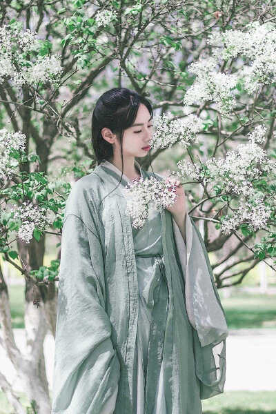 桃灼之灼夭其夭华