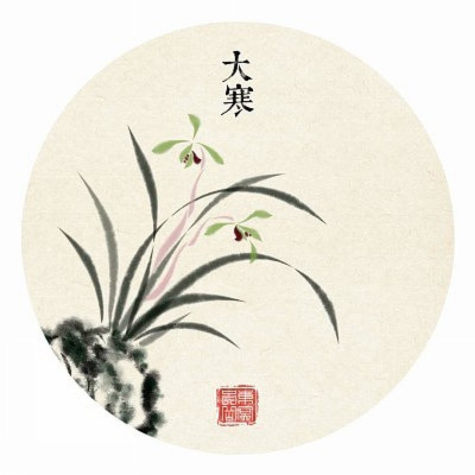 东溟崇岳 二十四节气花卉系列插画-大寒