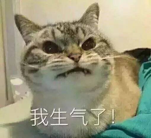 生气,表情包