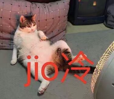jio冷 