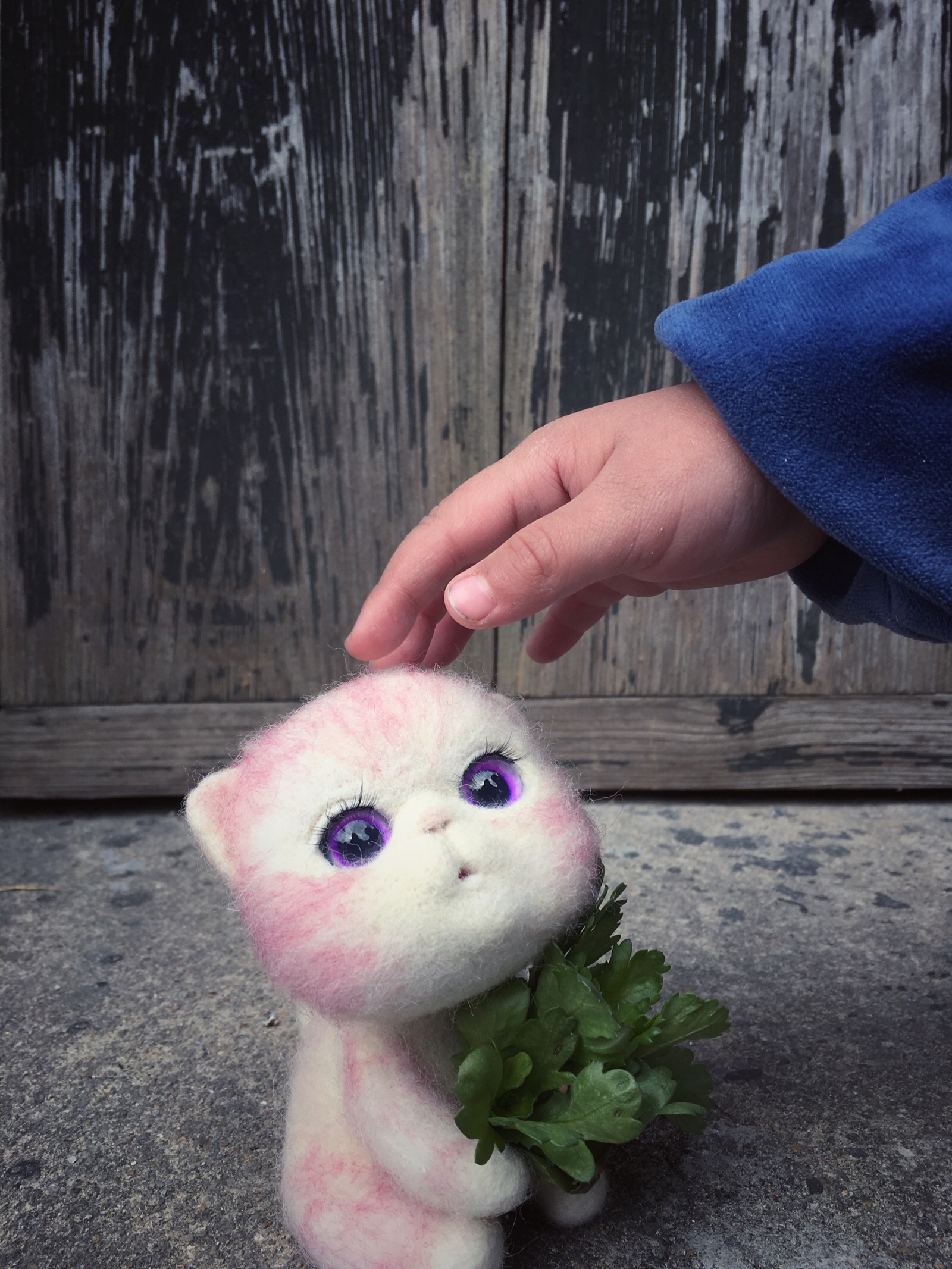 萤火小室——羊毛毡小猫