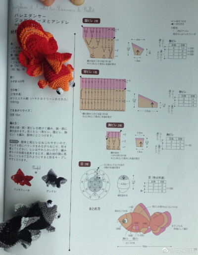金鱼---2