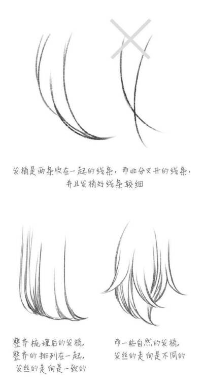 cdr头发画法