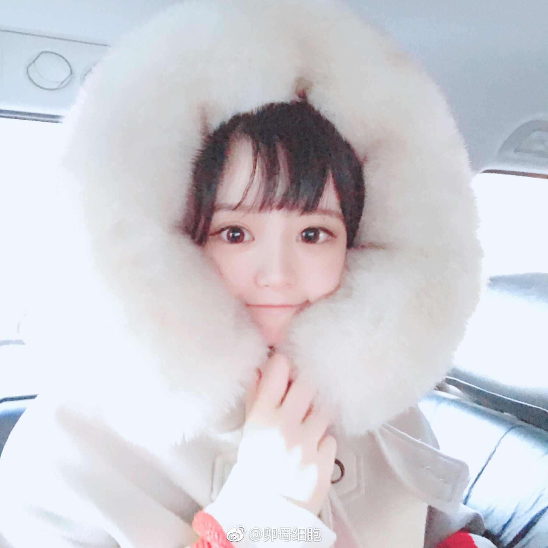 wink.清新 可爱 女头