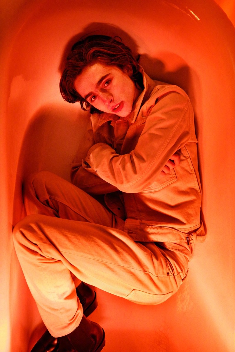 甜茶timothee chalamet