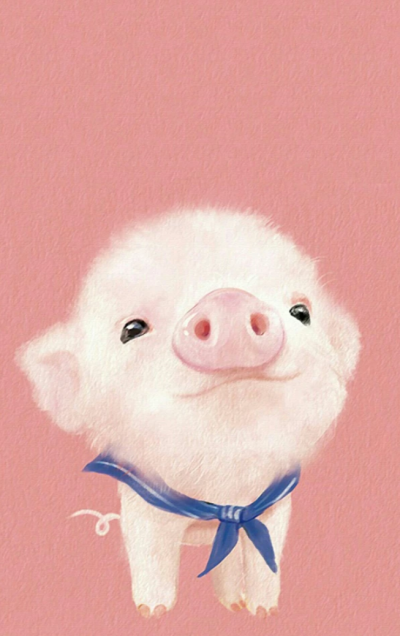 萌萌小猪