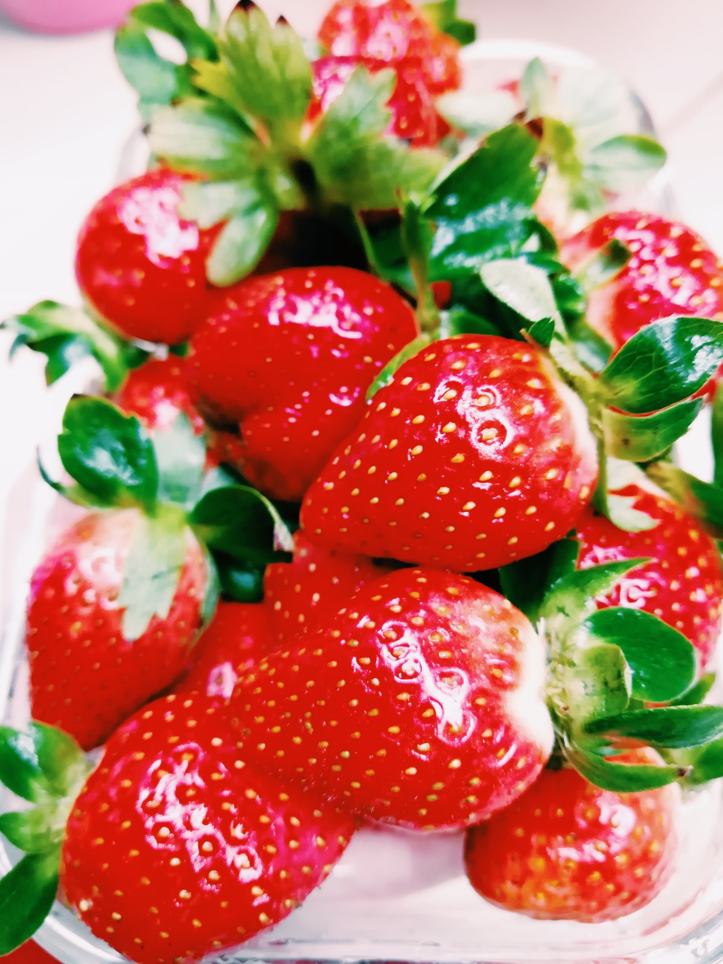 草莓的照片 唯美图片