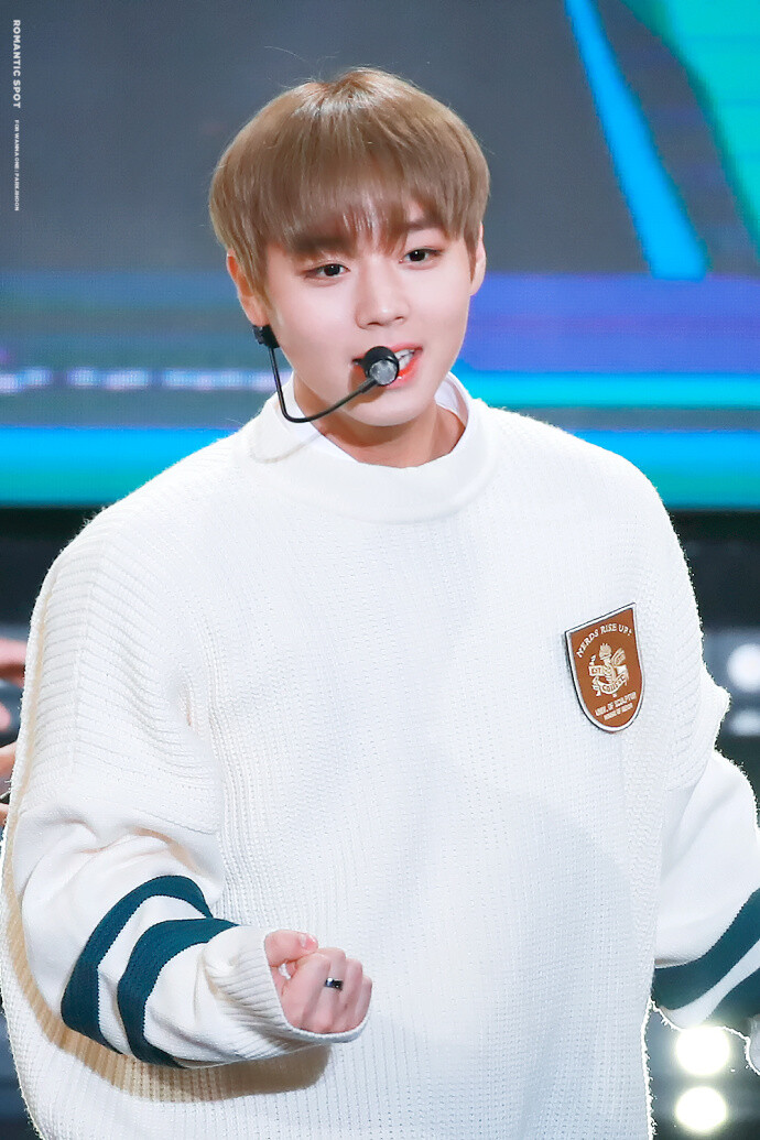 wanna·one朴志训cr.logo