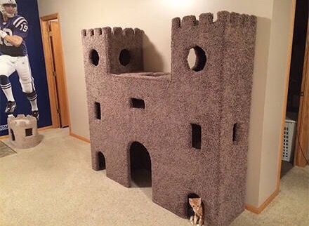 蠢猫二人组的猫城堡图片