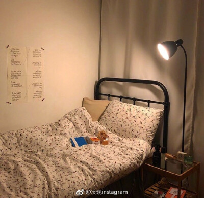 简洁温馨的卧室装扮 ins:oneroom.make