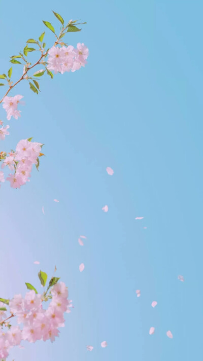 粉色壁纸清新