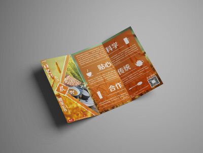 评论  绝对值得一看的折页宣传单设计 0 38 榴莲味诶  发布到  型录