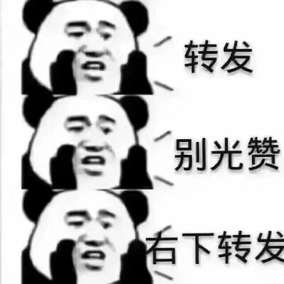 熊猫波动狗传说之下求扩求转发画手文手表情包