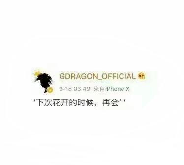 下次花开的时候再会.一直等你-权志龙