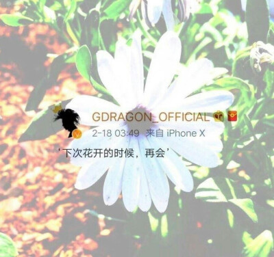 花开再会