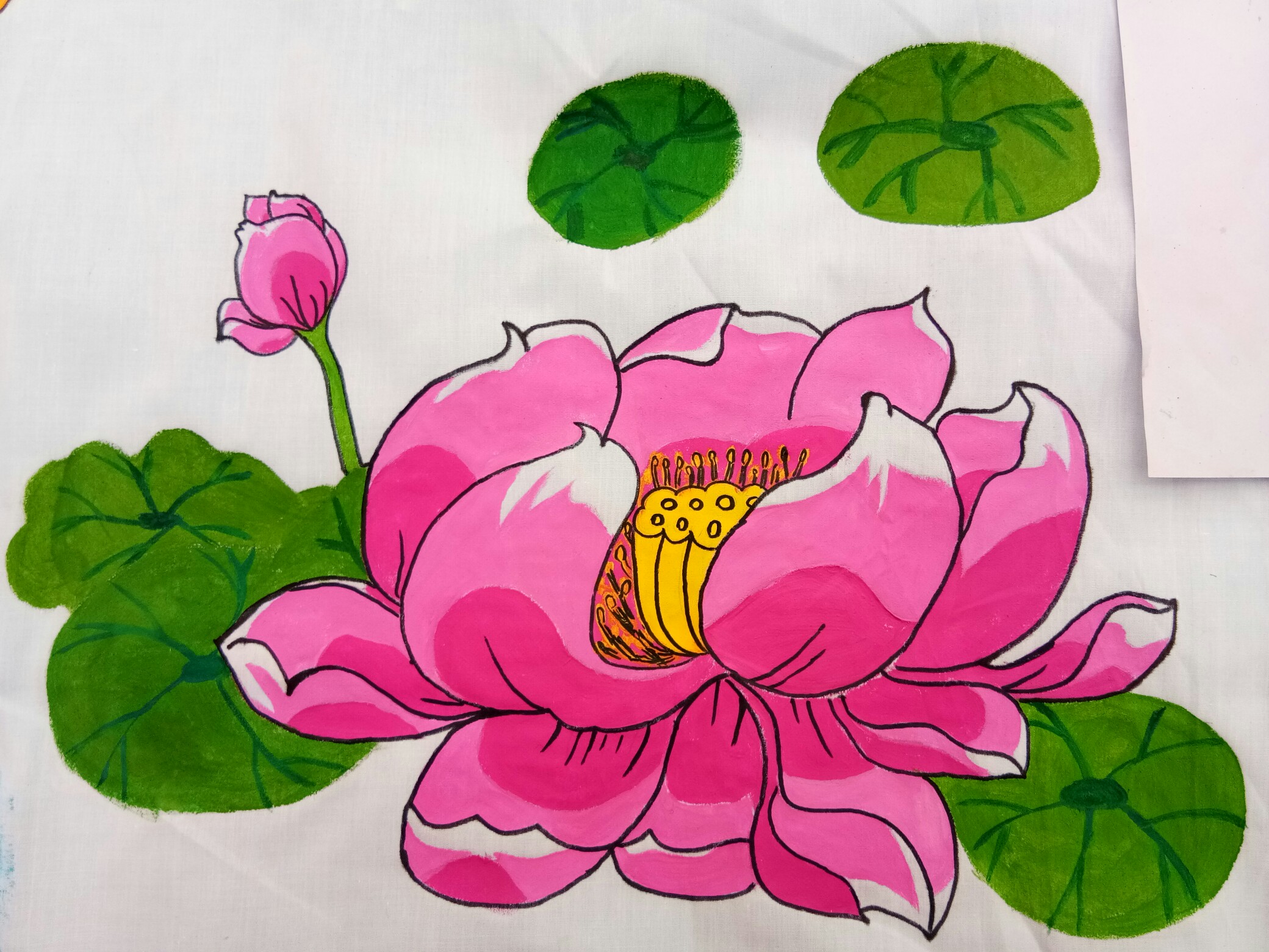 荷花