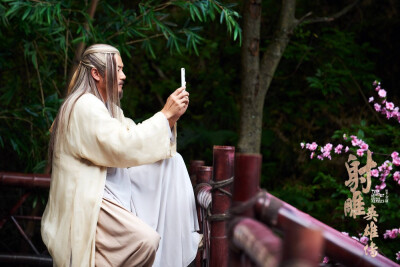 黄药师苗侨伟射雕英雄传花絮