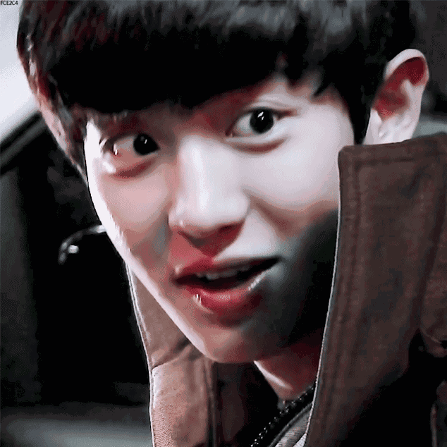 exo 金俊勉suho 张艺兴lay 金钟仁kai 金钟大chen 朴灿烈 chanyeol 边
