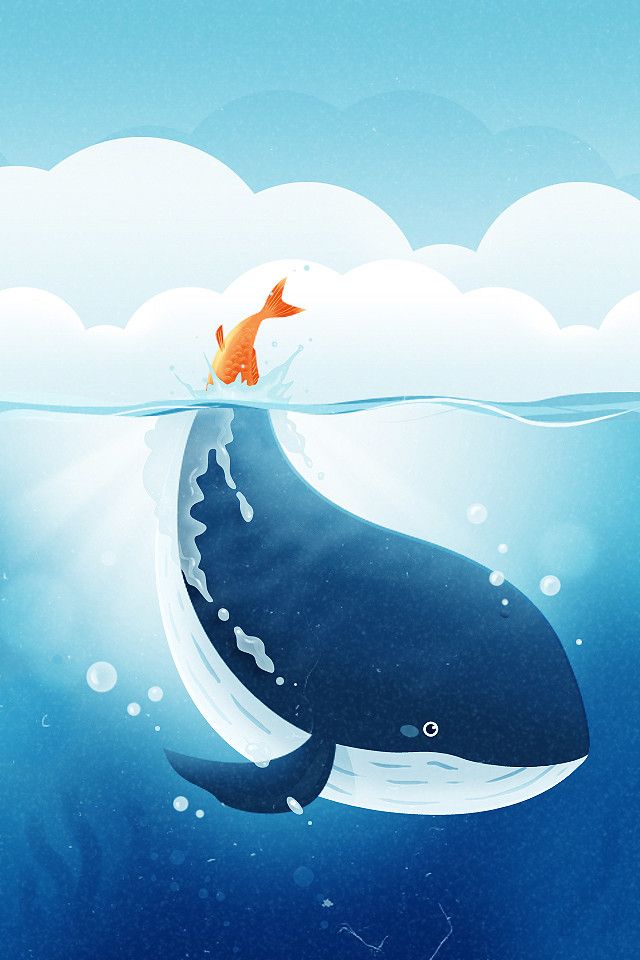 鲸鱼动漫插图图片