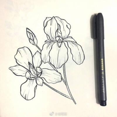 黑白画