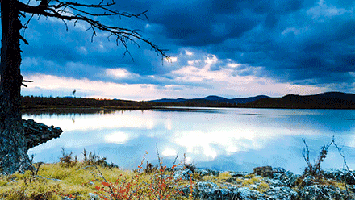 公众号文章封面