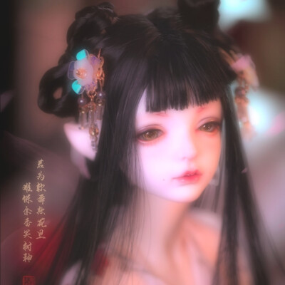 自截头像截自淘宝龙魂人形社 异闻卷轴 芙桑 bjd娃娃sd娃娃侵删禁二传