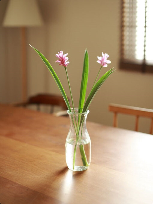 悠然时光,那是的我们是最好就是最好的我们,在简单的生活510_680竖版
