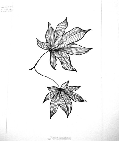 黑白手绘插画之 落叶集