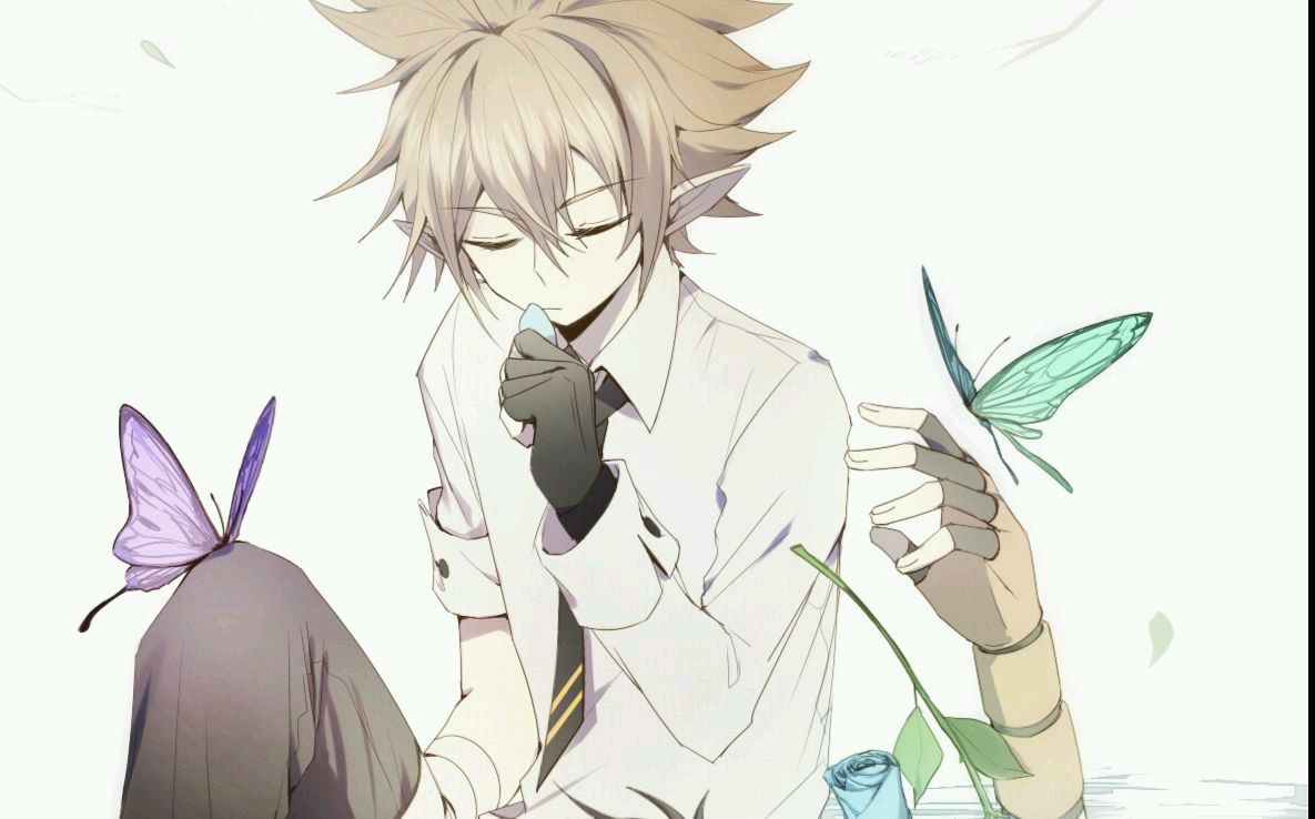 凹凸世界##安迷修# 蝴蝶海手书的封面 lofter作者id:思间清光