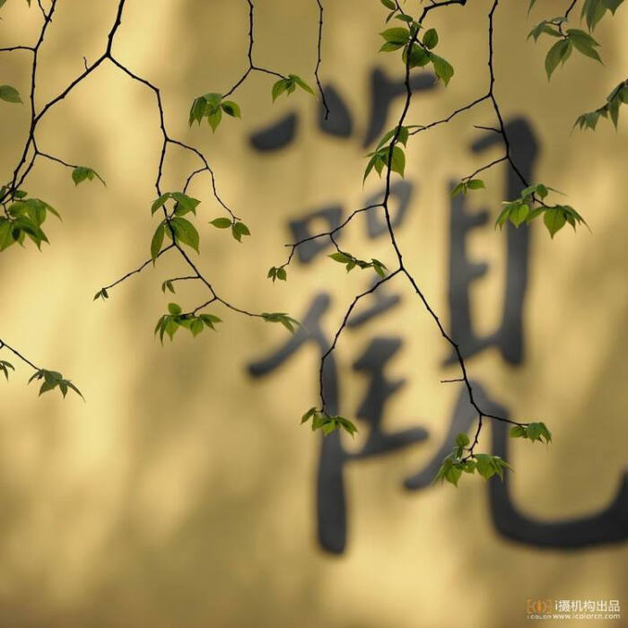 禅意,古风,意境,静