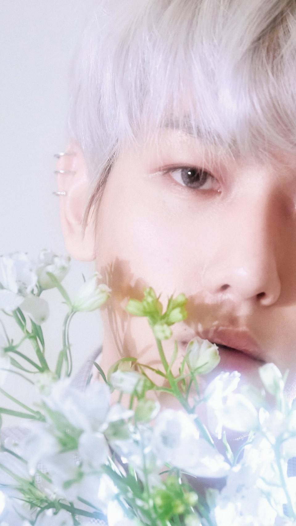 exo-cbx 《blooming days》 花曜日