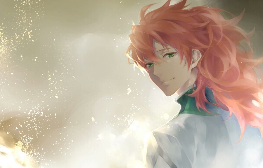 fate fgo fate/grand order 医生