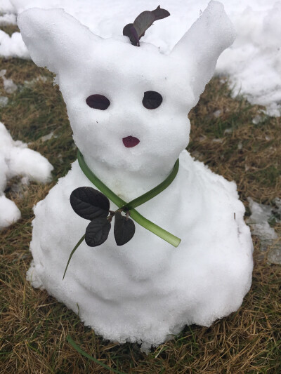 雪娃娃的样子图片