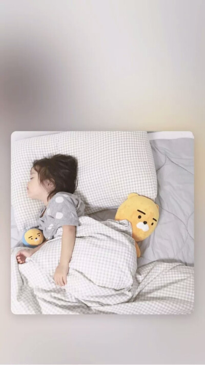 壁纸 权律二