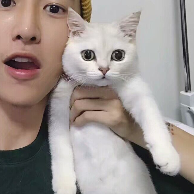 情侣头像.iu
