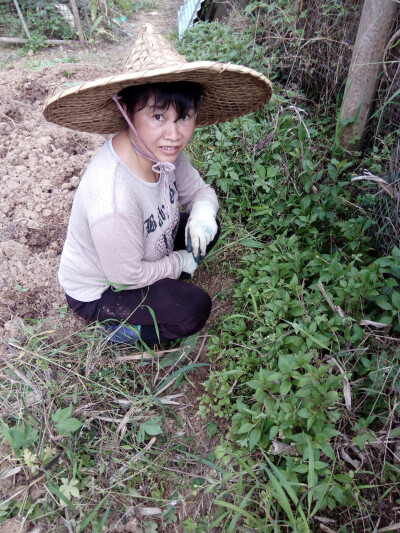 妈妈干活的照片图片