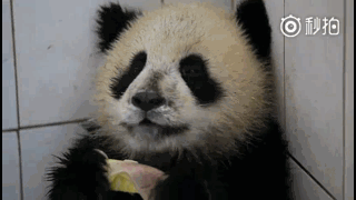 小童 堆糖,美图壁纸兴趣社区