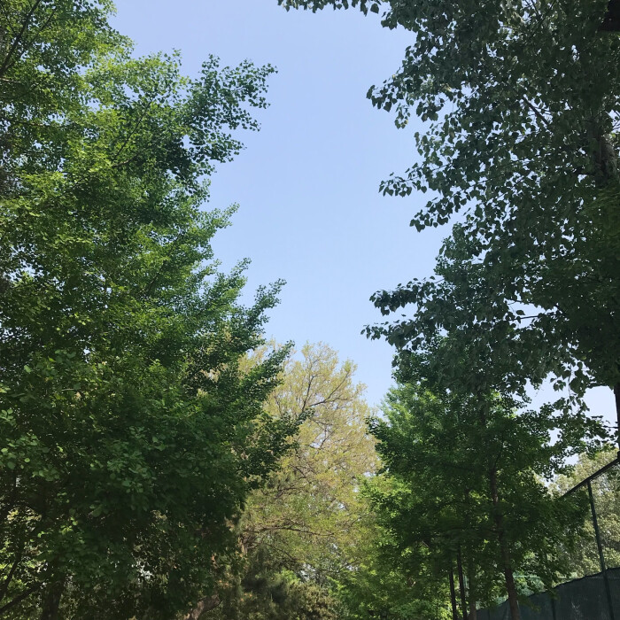 天真好