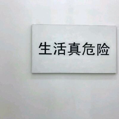 立马回头